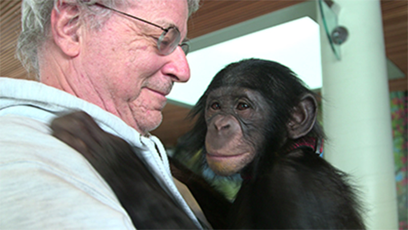 Steven Wise, who regularly visits the world’s foremost primatologists, with a friend at the Iowa Primate Learning Sanctuary.