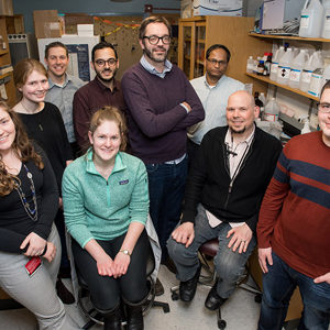 Binge eating genetics study researchers: Amanda Bolgioni (clockwise from left), Kim Luttik, W. Evan Johnson, a MED associate professor, Neema Yazdani, Camron Bryant, a MED assistant professor, Vivek Kumar of the Jackson Laboratory, Keith Babbs, a MED senior postdoctoral fellow, David Jenkins, and Lisa Goldberg.