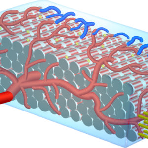 Illustration of cardiac patch