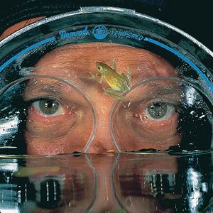 David Doubilet with reed frog on his mask while on assignment Okavango Delta Botswana