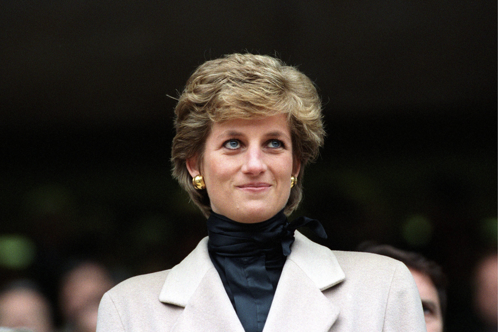 Princess Diana bemused smile