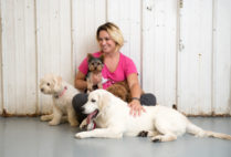 Francine Coughlin, owner of Bark n' Roll Dog Obedience School and Daycare, poses with some of her client dogs and puppies