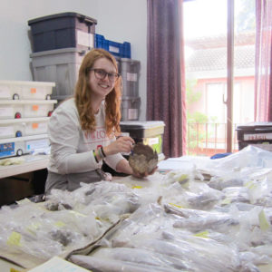 Student researcher Elizabeth Hannigan working with archaeological artifacts found in the Maya city of Xultún