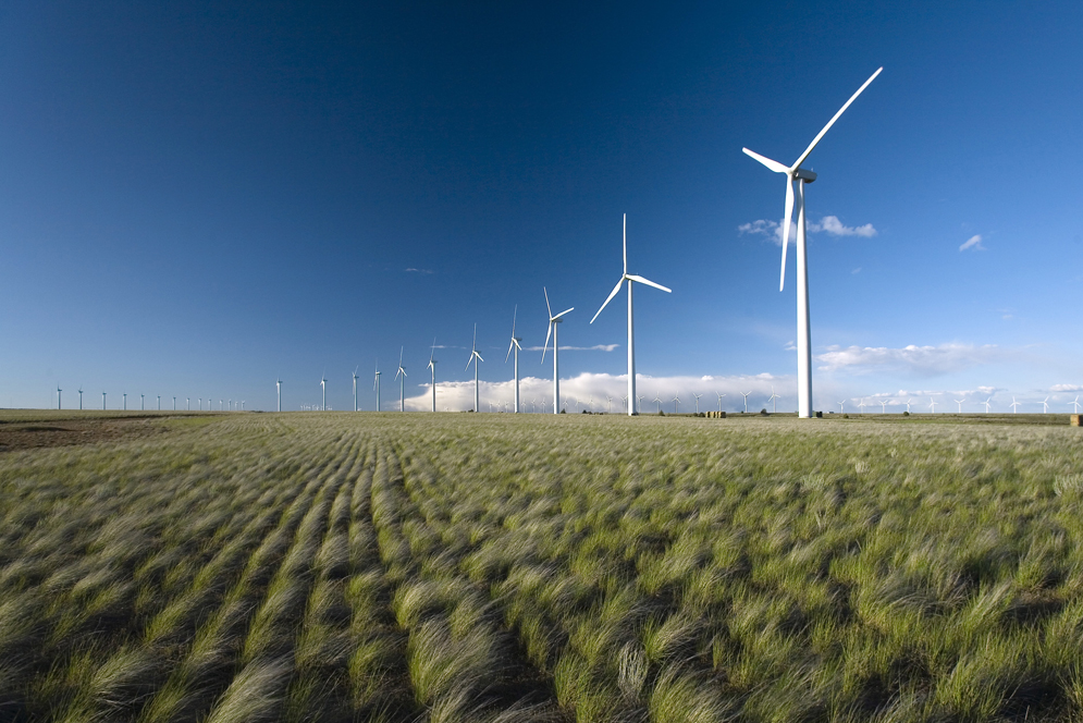 wind farm