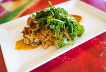 Plated Turkey Tetrazzini prepared by The Flying Rhino Cafe & Watering Hole in Worcester, Massachusetts