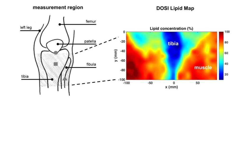 Research Biomedical Optical Technologies Lab
