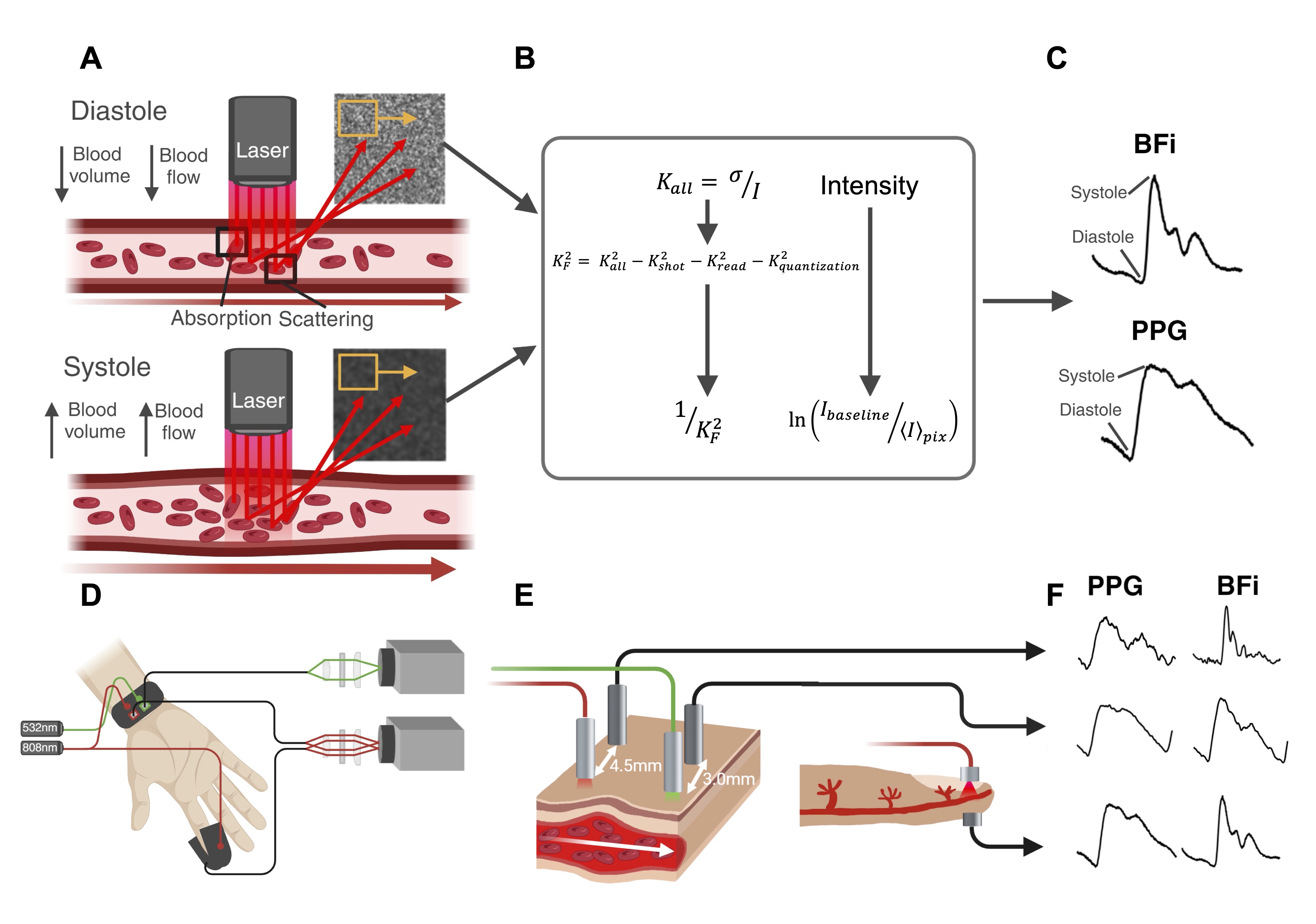Wearable SCOS probe