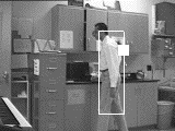 Lab walk sequence