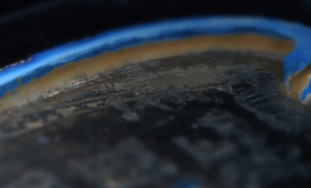 A section of an ancient butter clam found in middens of Dutch Harbor.