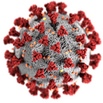 graphic depicting magnified view of coronavirus