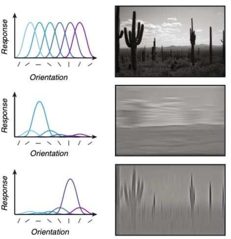 Sam Ling Research