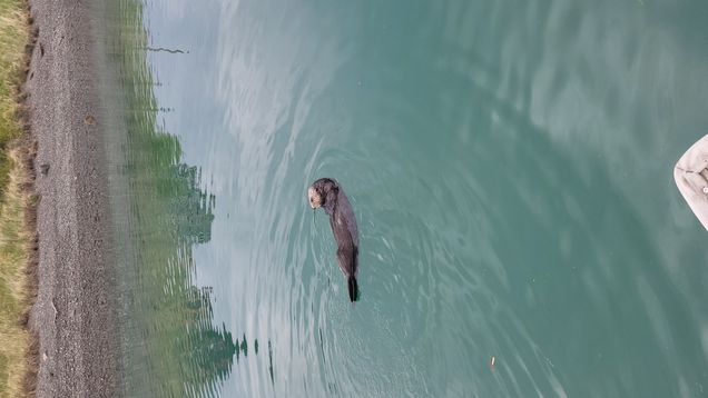 Helena Shenk wanted to understand whether increased boat traffic could disrupt local fish species that rely on sound to communicate, attract mates, and detect predators. Photo courtesy of Helena Shenk.