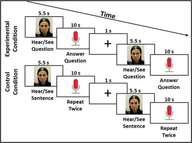 Experiment 1 task design.