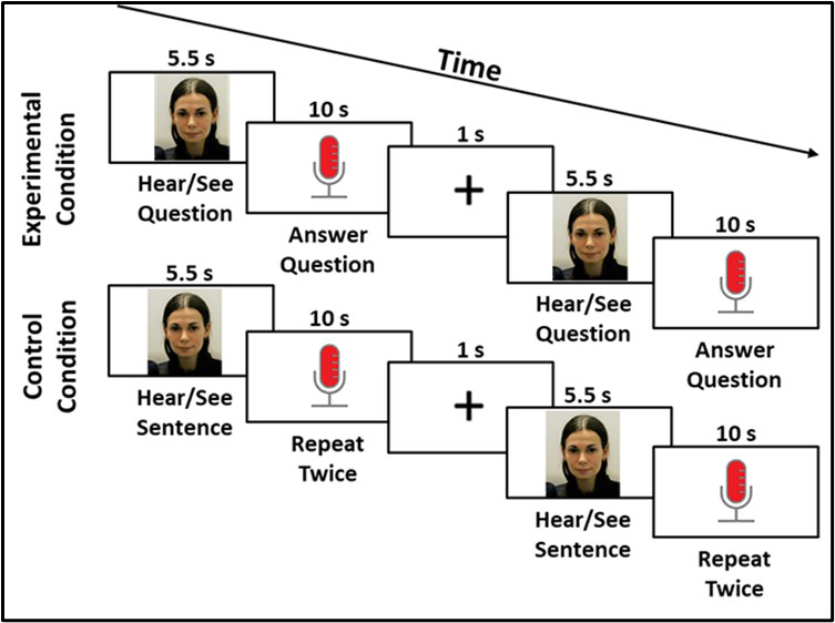 Experiment 1 task design.