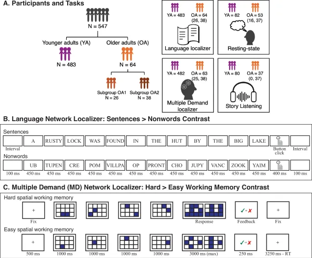 Participants and task paradigms