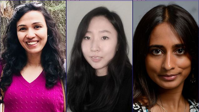 CDS Faculty Fellows 2023