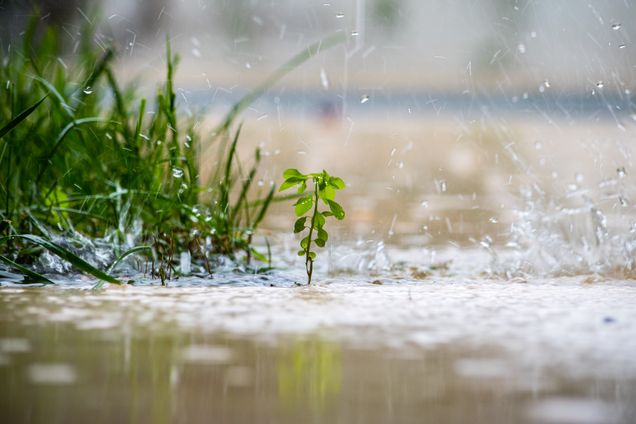 Photo of rainwater on the ground