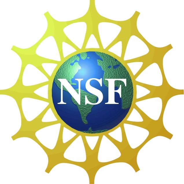 NFS Logo