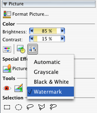 Watermarking pictures