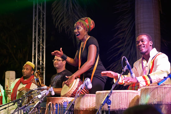 The Nile Project musicians