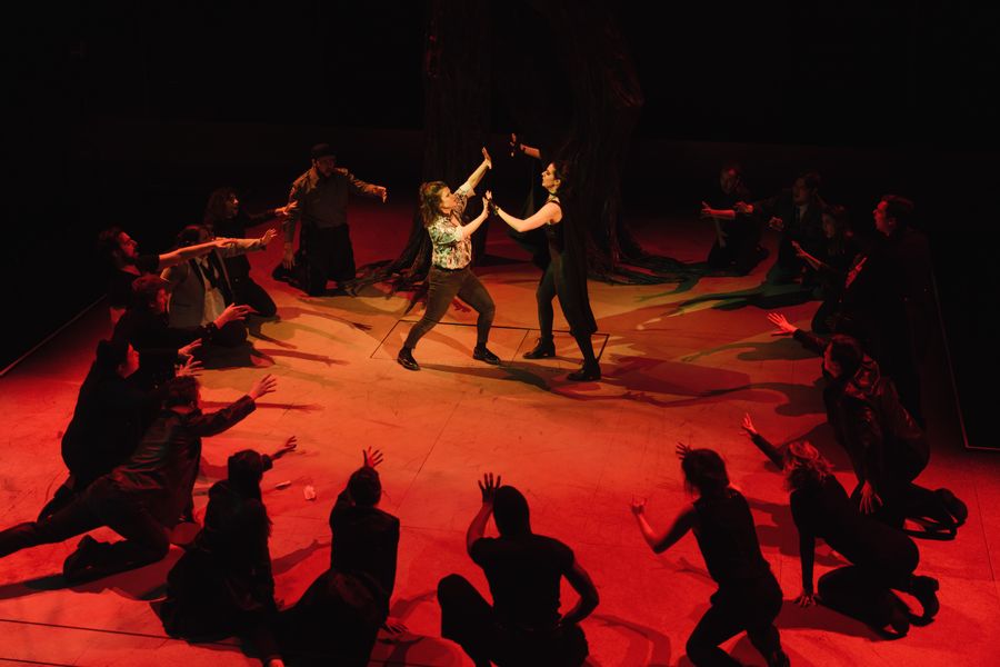Performance Diploma in Opera | College of Fine Arts