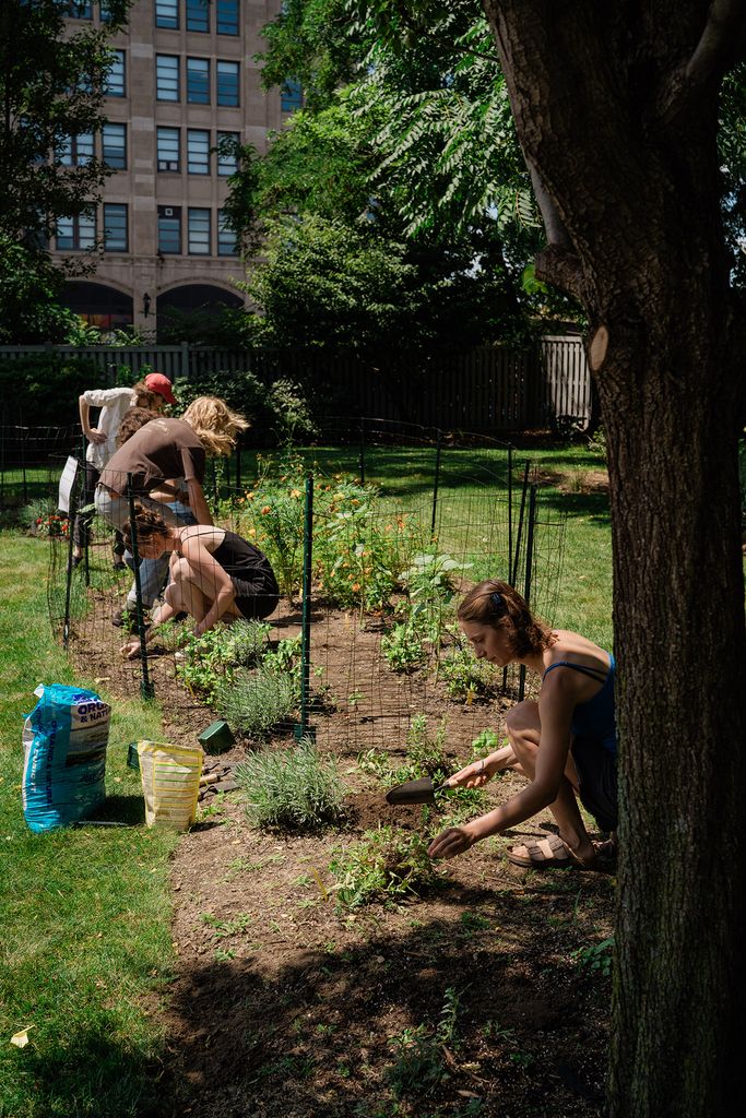 Students planting and tending to the CFA Color Garden