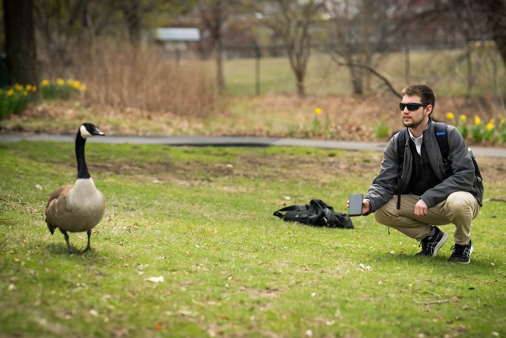 Jacob Whitchurch, a Boston University Master of Music in Composition student, crouches in a grassy park holding a smartphone toward a Canada goose standing a few feet away. He wears sunglasses and a backpack, with a soft background of daffodils, trees, and early spring foliage.