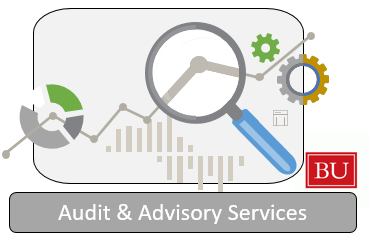 Audit & Advisory Services