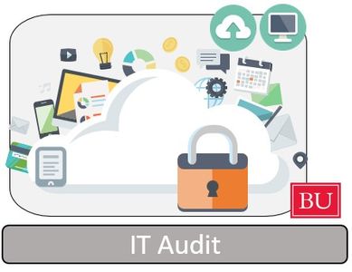 IT Audit