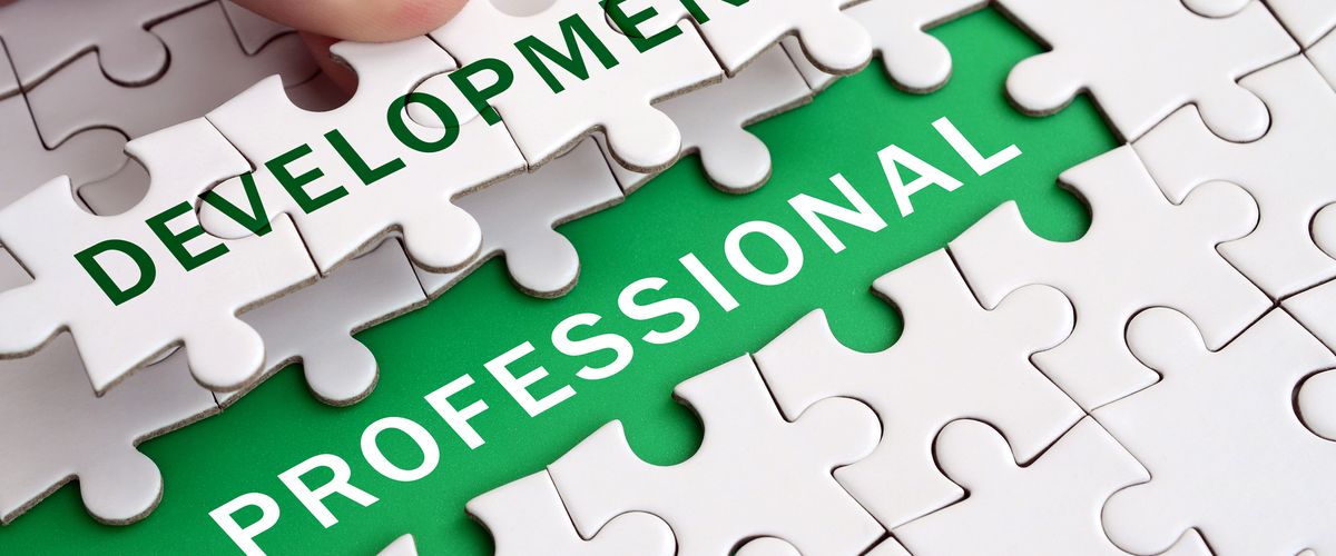 Puzzle Pieces Professional Development