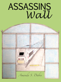 AssassinsWallSmall