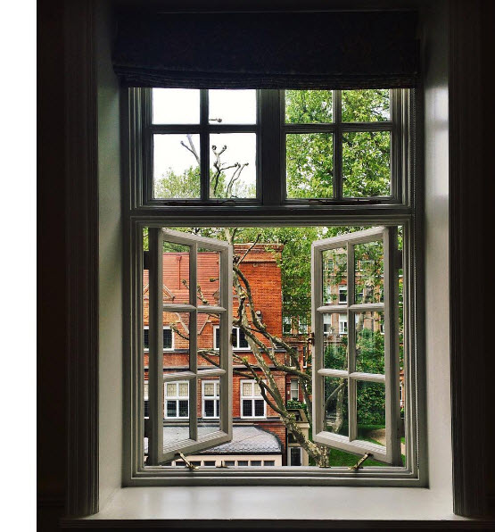 A view from the student classroom in Harrington Gardens. Photo by Madeline Foley