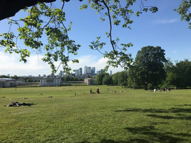 Hills of Greenwich. Photo by Sarah Garcia.