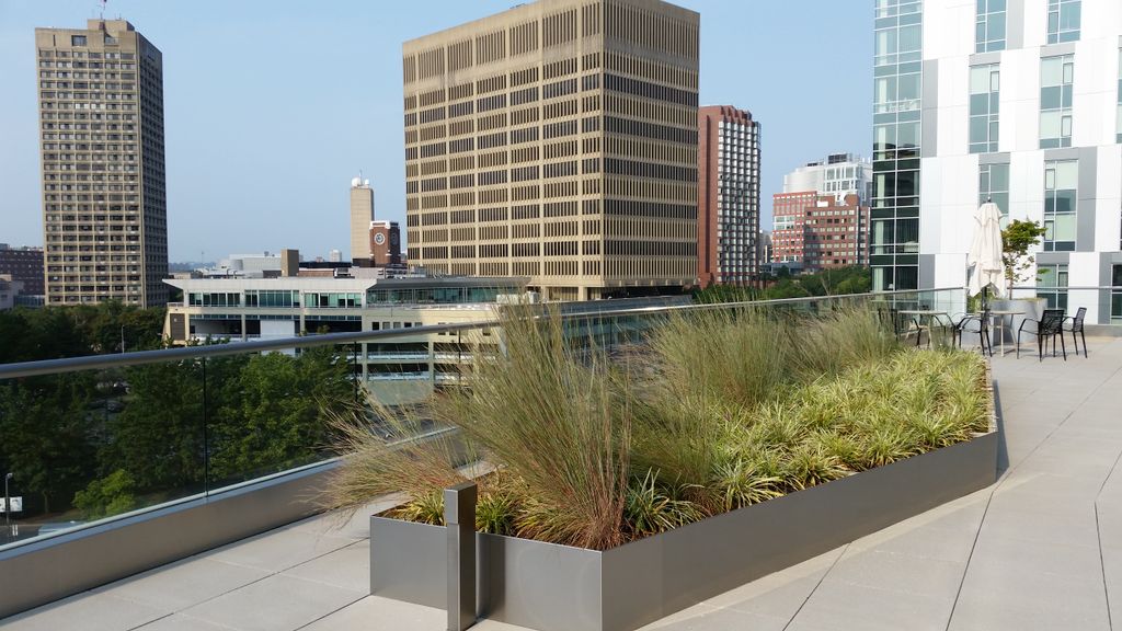 Chrisopher DeRosa (’71, CAS’74) writes, “CGS was a great experience for me, which I followed up with a major in English at CAS.” Today, he is the CEO of Greentop LLC, which supplies insulated planters for the horticultural trade. Christopher writes that the planters are designed to create the optimal conditions for sustaining plant growth on rooftops and green roofs, which saves 75 percent more water and protects plants from root damage in the winter. This photo is of the Greentop LLC stainless planters at the Biogen rooftop garden in Kendall Square, Boston. Courtesy of Christopher DeRosa