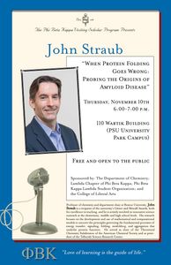 Professor Straub Visiting Scholar Program