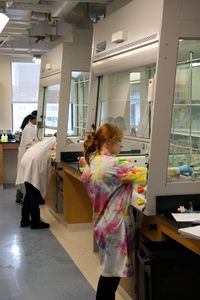 Undergraduate Organic Lab