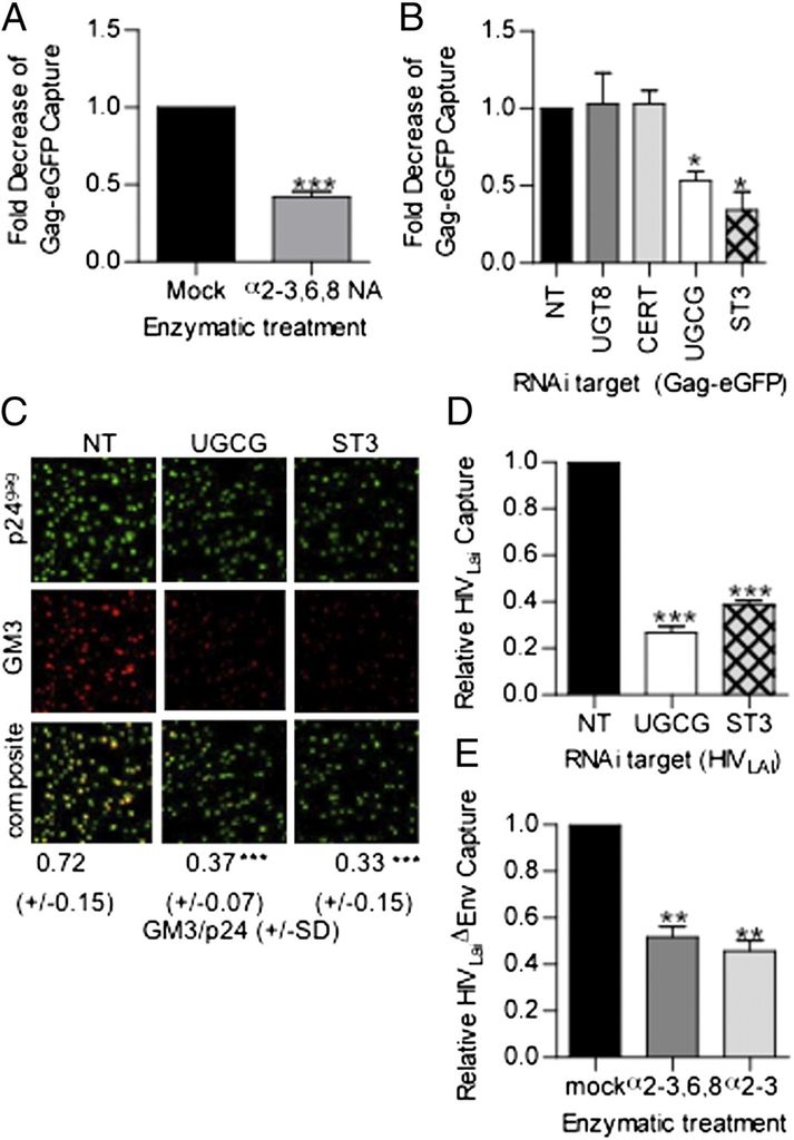 Reinhard PNAS Fig 1