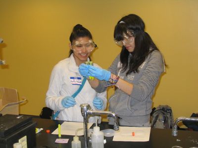 Chemistry Day 2012 Student Experiment