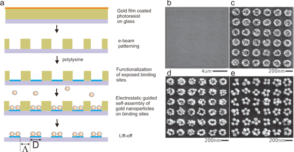 Reinhard NSF grant image Template-assisted assembly of nanoparticle cluster arrays (NCAs). (a) Process flow of the template-assisted self-assembly. Electron beam (e-beam) lithography is used to define binding sites on which the dielectrically coated nanoparticles self-assemble. The characteristic array parameters D (binding site diameter) and &Lambda (cluster edge-to-edge separation) are indicated. (b-e) SEM images of NCAs assembled from particles with different diameters. b&c) diameter = 40 nm; d) diameter = 60 nm; e) diameter = 80 nm.