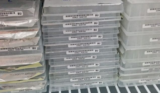 compoundPlates