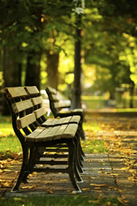 bench