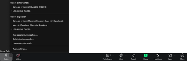 Screenshot of Zoom’s microphone and speaker selection menu, USB AUDIO CODEC is selected for both the microphone and speaker