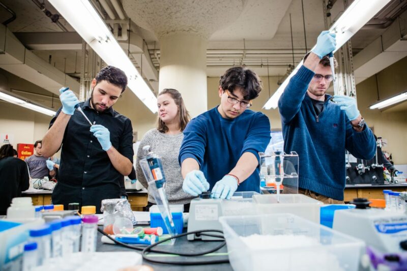 Boston University Molecular Biology Laboratory