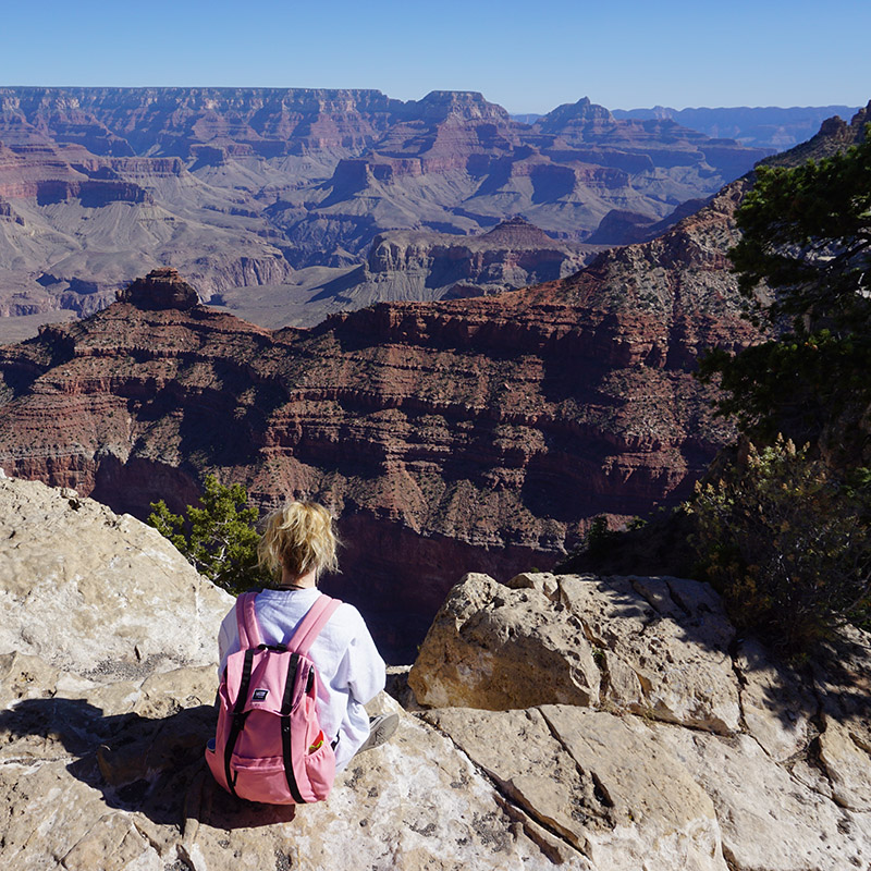 Core student looking out over the Grand Canyon