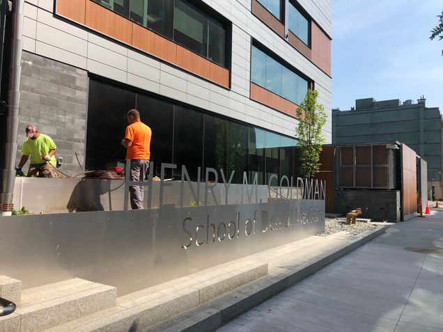 Irrigation work continuing at the 635 Albany Street entrance in advance of new plantings