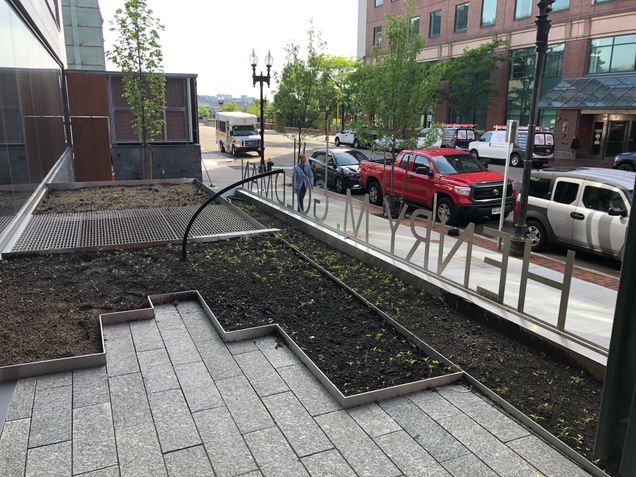 Planting beds awaiting new vegetation at the 635 Albany Street entrance