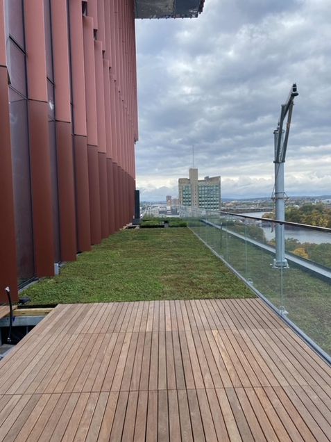 Planting green roof materials on the 10th floor terrace
