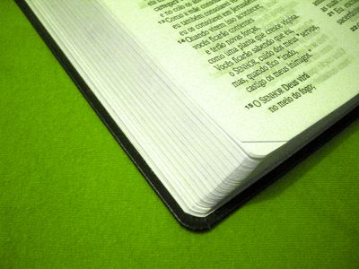 Spanish Bible