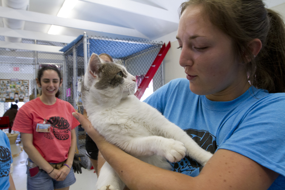 REMINDER Support The MeowsternBias Beanpot Fundraiser BC Interruption