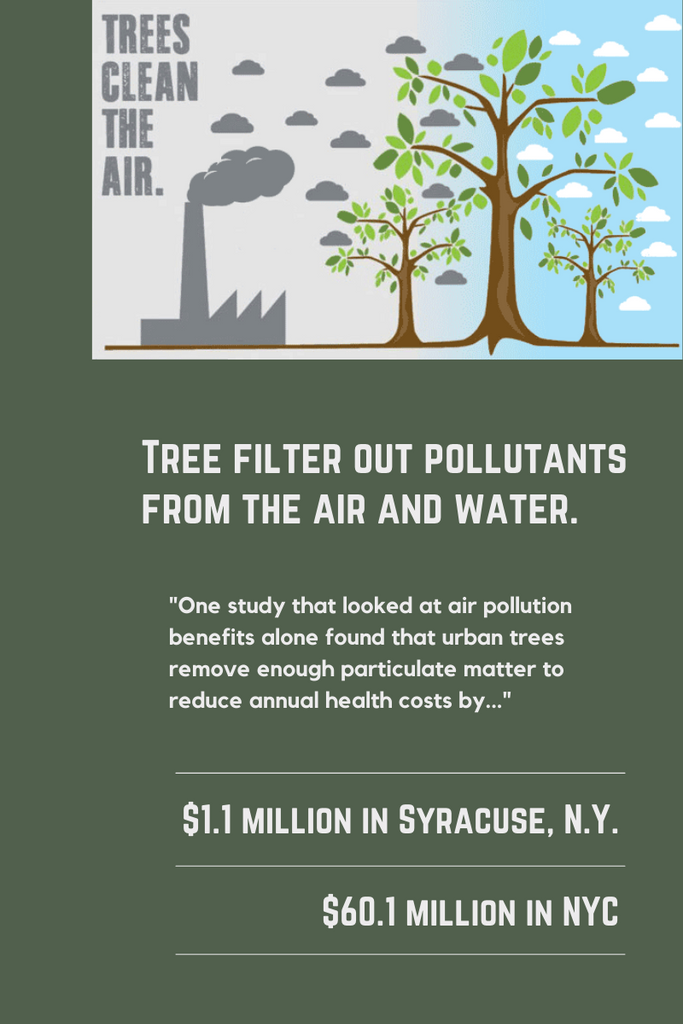 Trees Filter Air Community Service Center